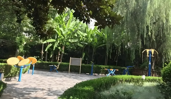 穿越大唐芬芳客：香医皇后
